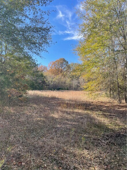 1155 VZ County 1415 rd, Van, TX à vendre - Autre - Image 3 de 5