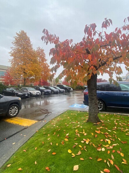 12992 76th Ave, Surrey, BC à louer - Photo du bâtiment - Image 3 de 9