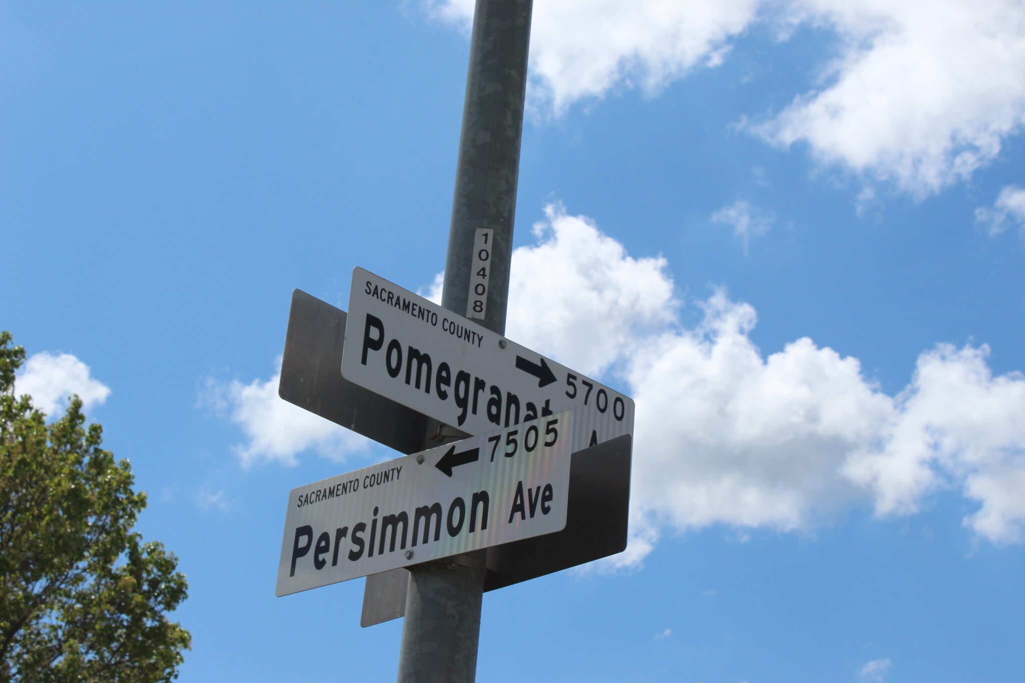 7509 Persimmon Ave, Sacramento, CA for sale Building Photo- Image 1 of 13