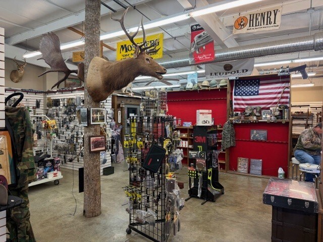 123 Maddox Cir, Ellijay, GA à vendre - Photo du bâtiment - Image 2 de 10