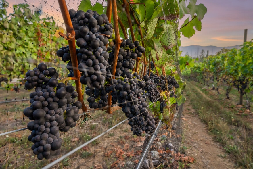 Specialty in Duncan, BC for sale - Building Photo - Image 3 of 70