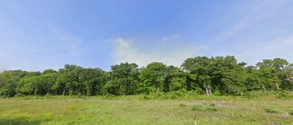 Plus de détails pour ACR 493, Cayuga, TX - Terrain à vendre