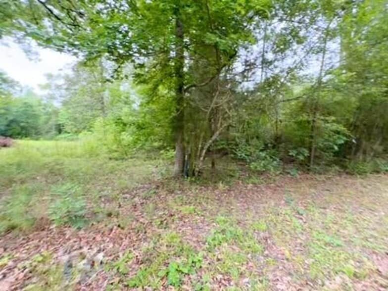 TBD Possum Trot ln, Pitkin, LA à vendre - Photo du bâtiment - Image 3 de 3