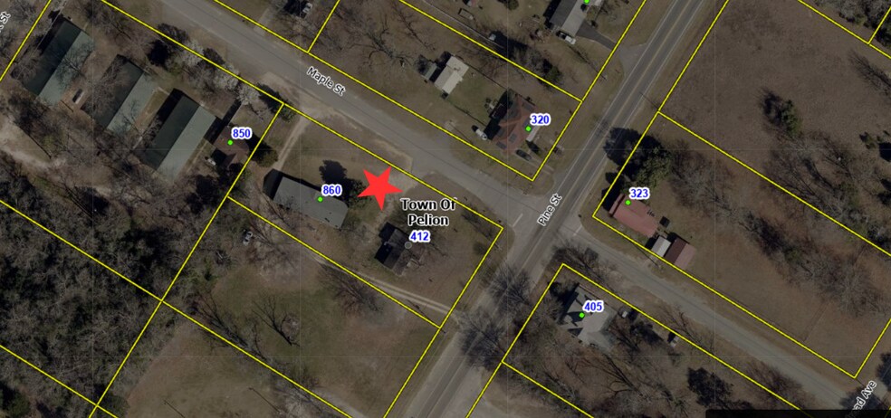 412 Pine St, Pelion, SC à vendre - Photo principale - Image 1 de 5