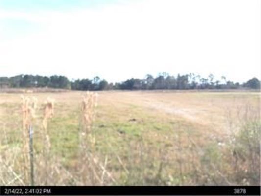 2337 Savannah ave, Valdosta, GA à vendre - Autre - Image 1 de 1