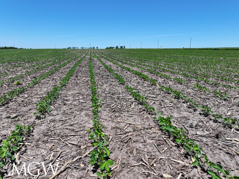 Herman Road, Lee, IL à vendre - Photo du bâtiment - Image 3 de 8