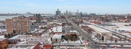 301 Mount Elliott St, Detroit, MI - Aerial map view - Image1