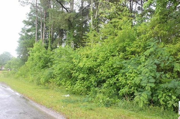 00 County Road 770, Cullman, AL for sale Other- Image 1 of 2