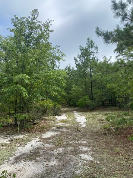 300 Hubbs Rd, Swansea, SC à vendre - Photo du bâtiment - Image 2 de 4