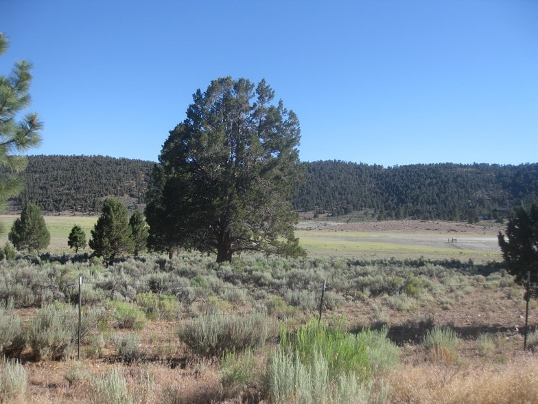 2809 Cedar Ln, Big Bear City, CA for sale - Building Photo - Image 3 of 3