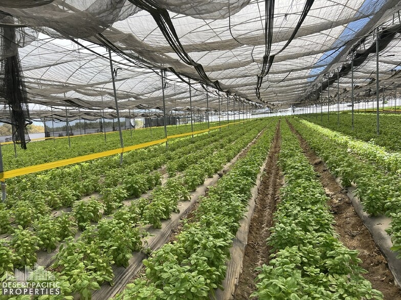 78100 Harrison St, Thermal, CA for lease - Building Photo - Image 3 of 31