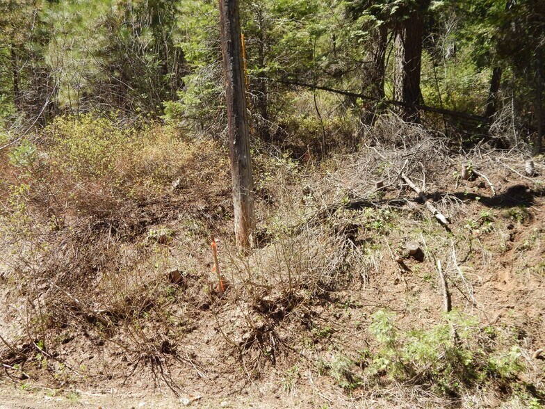 1601 Bear Trail Loop, Cascade, ID à vendre - Photo du bâtiment - Image 2 de 5