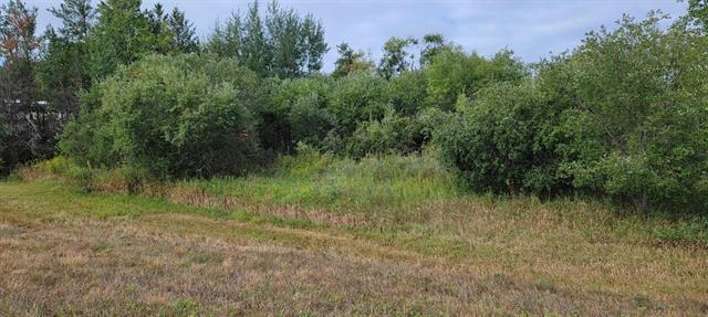 Academy Ave (County CA) & Granite, Tomah, WI à vendre - Photo du bâtiment - Image 2 de 4