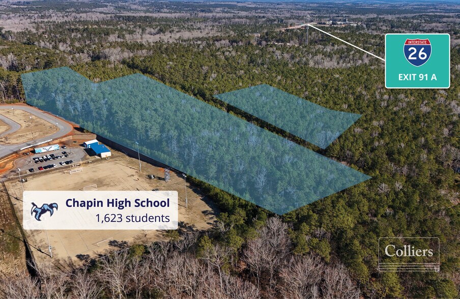 Woodthrush Rd, Chapin, SC for sale - Building Photo - Image 2 of 2