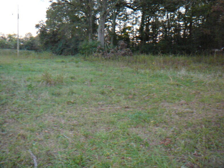 502 N Calhoun St, Calhoun Falls, SC à vendre - Photo du bâtiment - Image 3 de 5