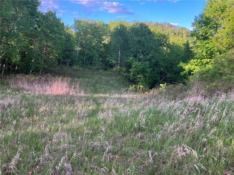 N3953 Bear Pen Rd, Arkansaw, WI for sale - Building Photo - Image 3 of 40