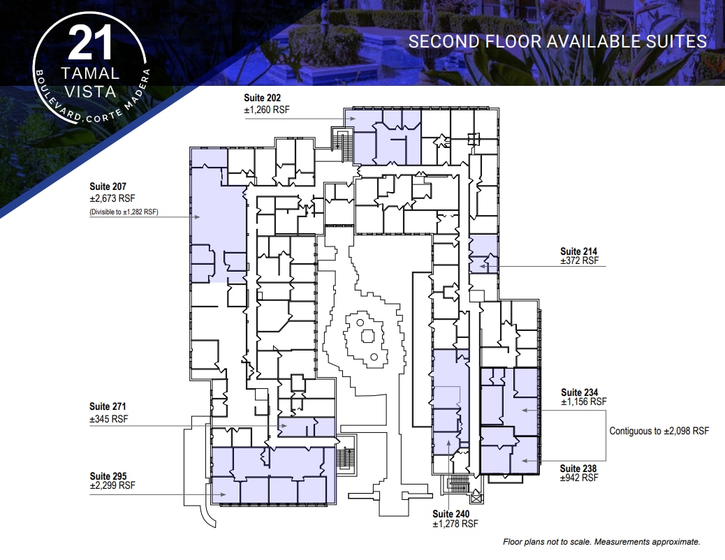 21 Tamal Vista Blvd, Corte Madera, CA for lease Floor Plan- Image 1 of 1