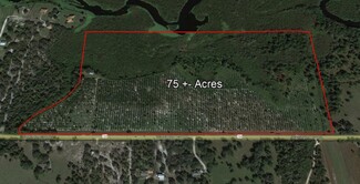 Plus de détails pour 37361 Washington Loop Road, Punta Gorda, FL - Terrain à vendre