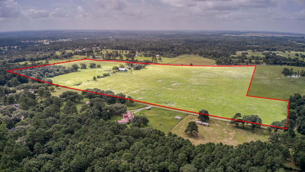 25396 Magnolia Rd, Hockley, TX à vendre - Photo du bâtiment - Image 3 de 40