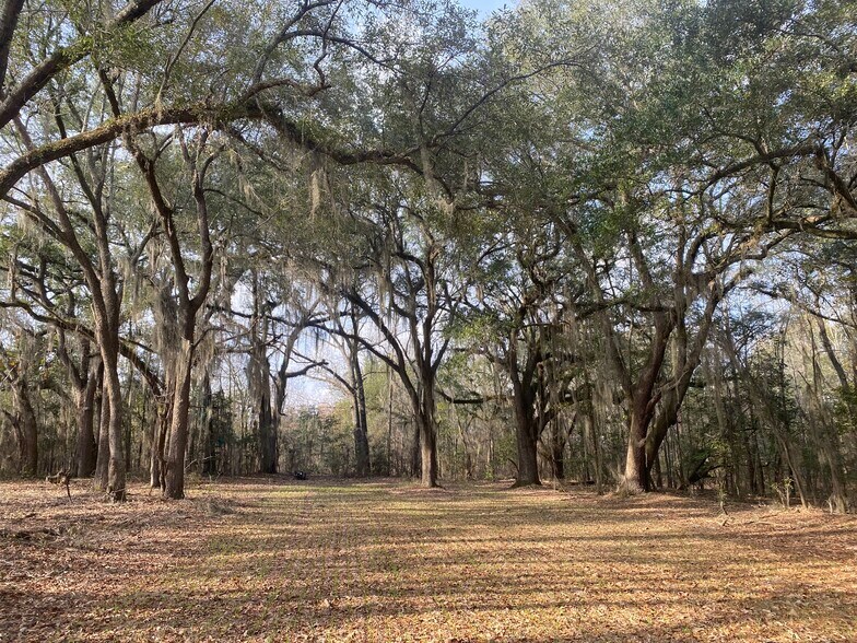 Fort Motte Rd, Saint Matthews, SC à vendre - Photo du bâtiment - Image 1 de 13