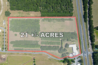 More details for 17950 S US Highway 301, Summerfield, FL - Land for Sale