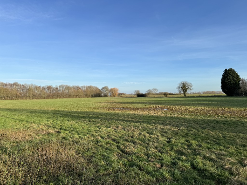 Amenity Pasture & Woodland, Somersham à vendre Autre- Image 1 de 3