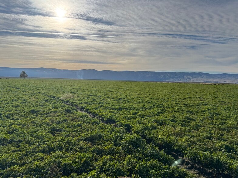 SWC Road 27 SW & Road P SW Rd, Mattawa, WA for sale - Other - Image 3 of 34