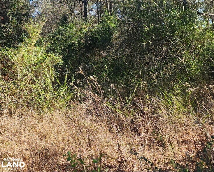 0 S Sauty Rd, Langston, AL for sale - Building Photo - Image 3 of 10