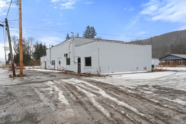 Plus de détails pour 896 Ithaca Rd, Willseyville, NY - Commerce de détail à vendre
