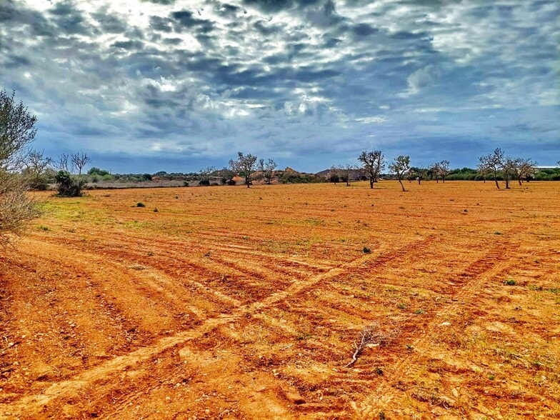 Land in Campos, Islas Baleares for sale - Aerial - Image 3 of 6