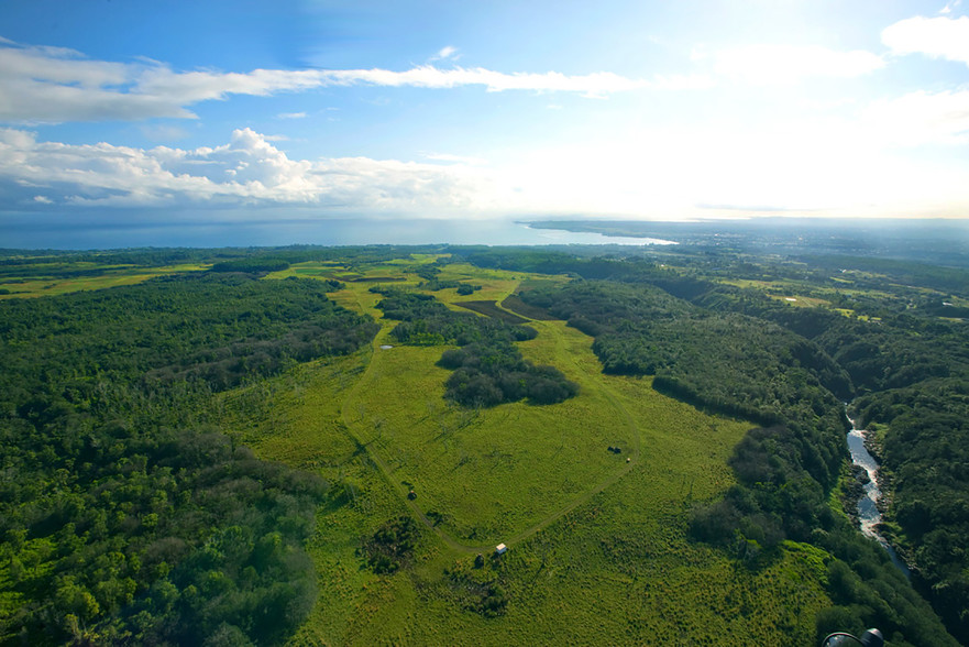 27-5159 Puia Rd, Papaikou, HI for lease - Aerial - Image 3 of 33