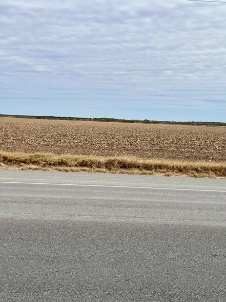 3665 FM 493, Donna, TX for sale - Other - Image 3 of 3