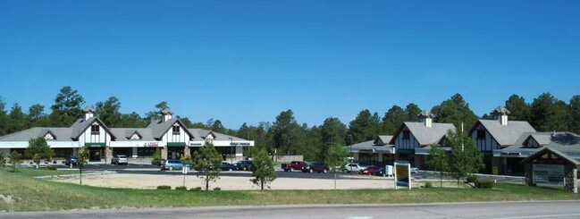 Plus de détails pour 11570 Black Forest Rd, Colorado Springs, CO - Terrain à louer