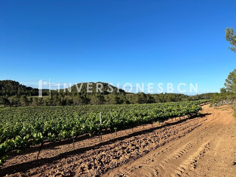 Terrain dans Vimbodí i Poblet, Tarragona à vendre - Autre - Image 3 de 8