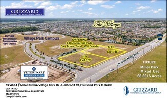 Plus de détails pour CR 466A, Fruitland Park, FL - Terrain à vendre