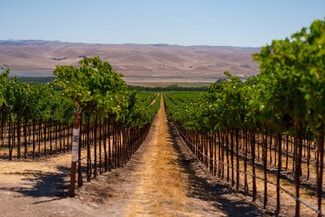 Plus de détails pour 63950 Bernardo Rd, San Ardo, CA - Terrain à vendre