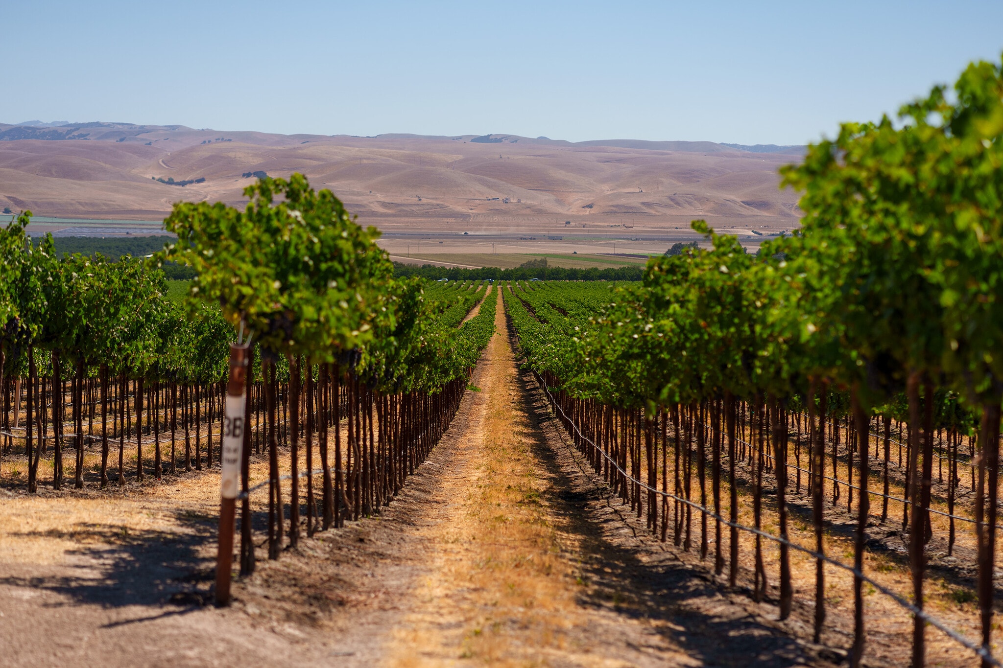 63950 Bernardo Rd, San Ardo, CA for sale Primary Photo- Image 1 of 20