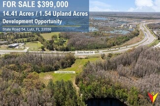 Plus de détails pour State Road 54, Land O' Lakes, FL - Terrain à vendre