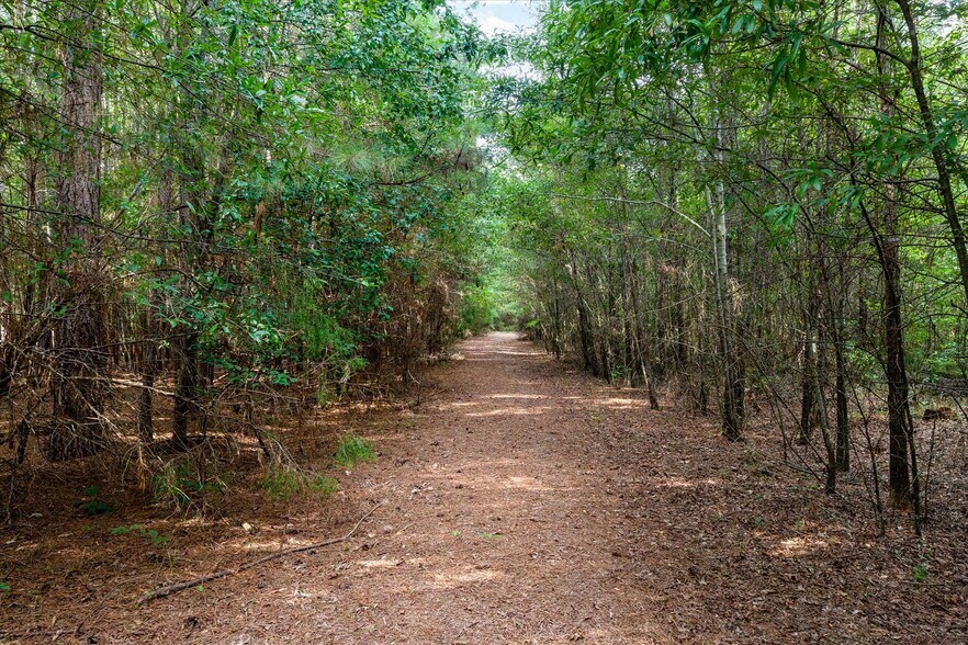 737 Burnt Mill Creek Rd, Mountville, SC à vendre - Photo du bâtiment - Image 1 de 23