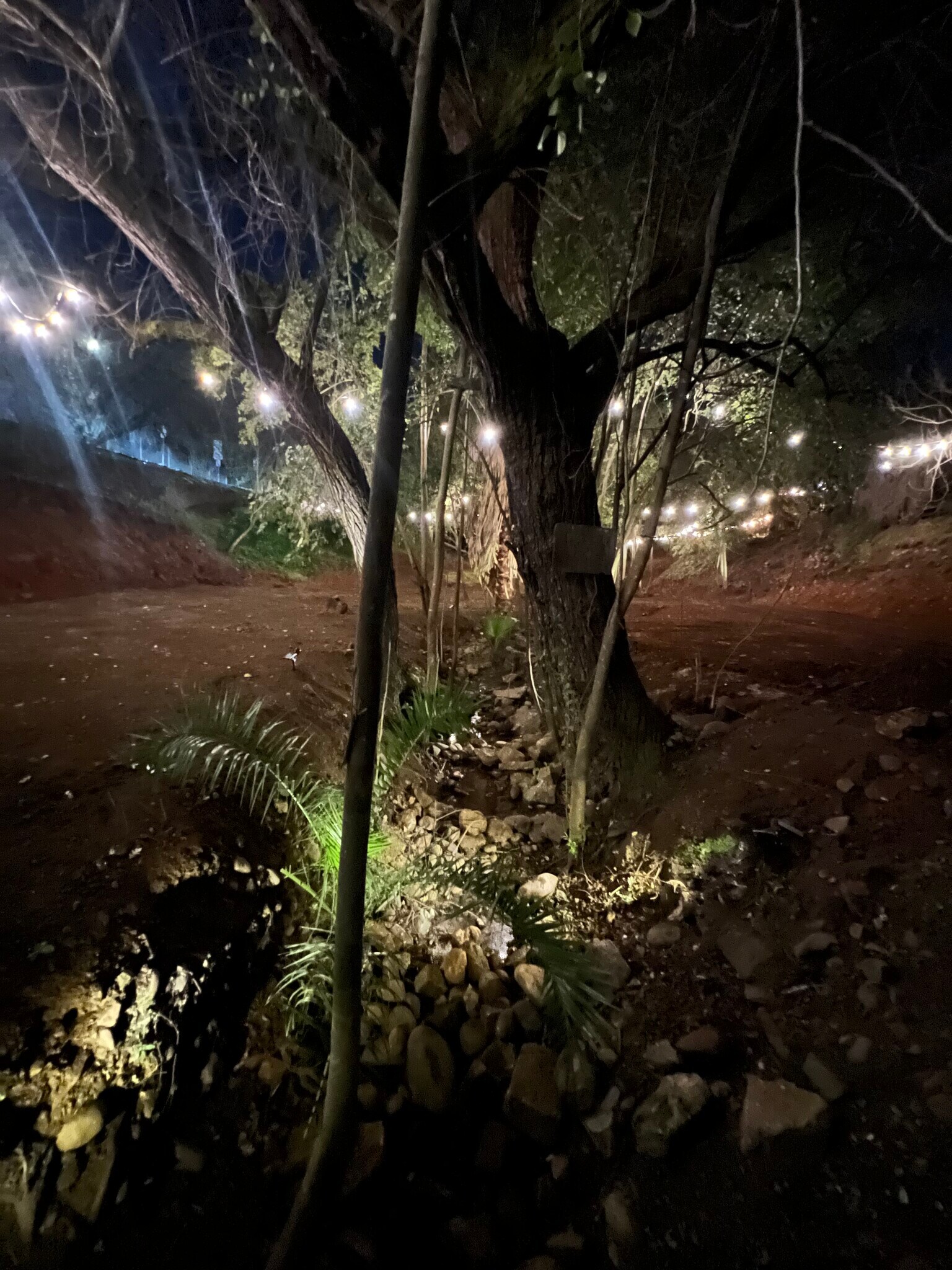 702 Figueroa St, Folsom, CA à vendre Photo principale- Image 1 de 1