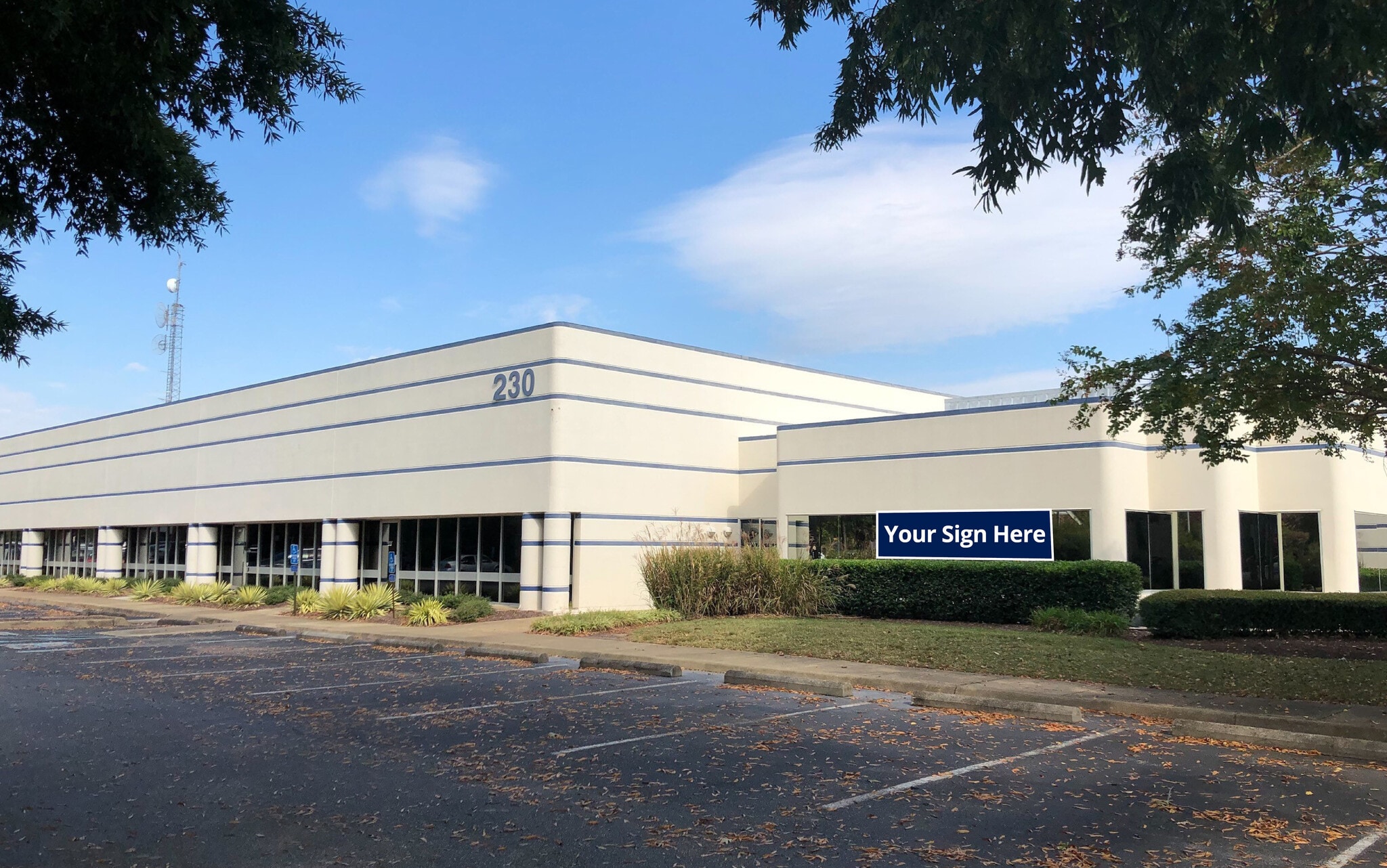 230 Clearfield Ave, Virginia Beach, VA for lease Interior Photo- Image 1 of 1