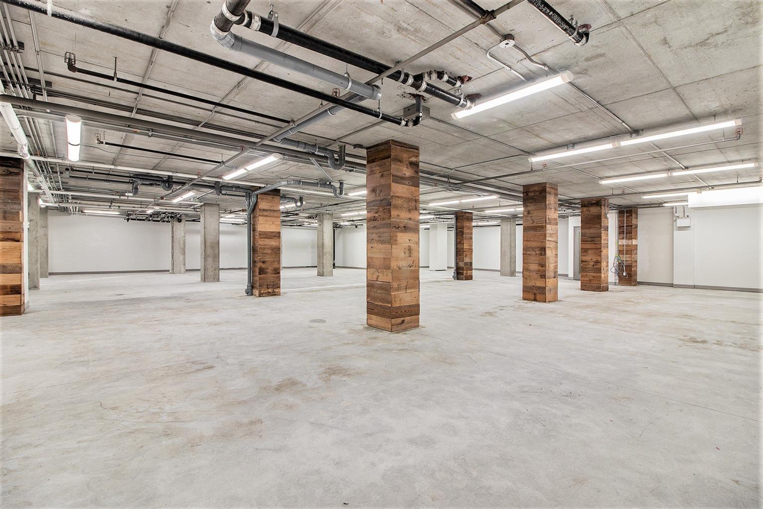 464 Bank St, Ottawa, ON for lease Building Photo- Image 1 of 6