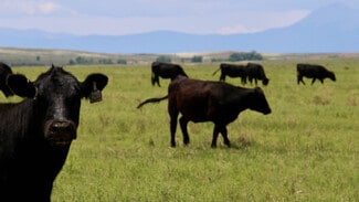 Plus de détails pour 48999 County Road 48, Model, CO - Terrain à vendre