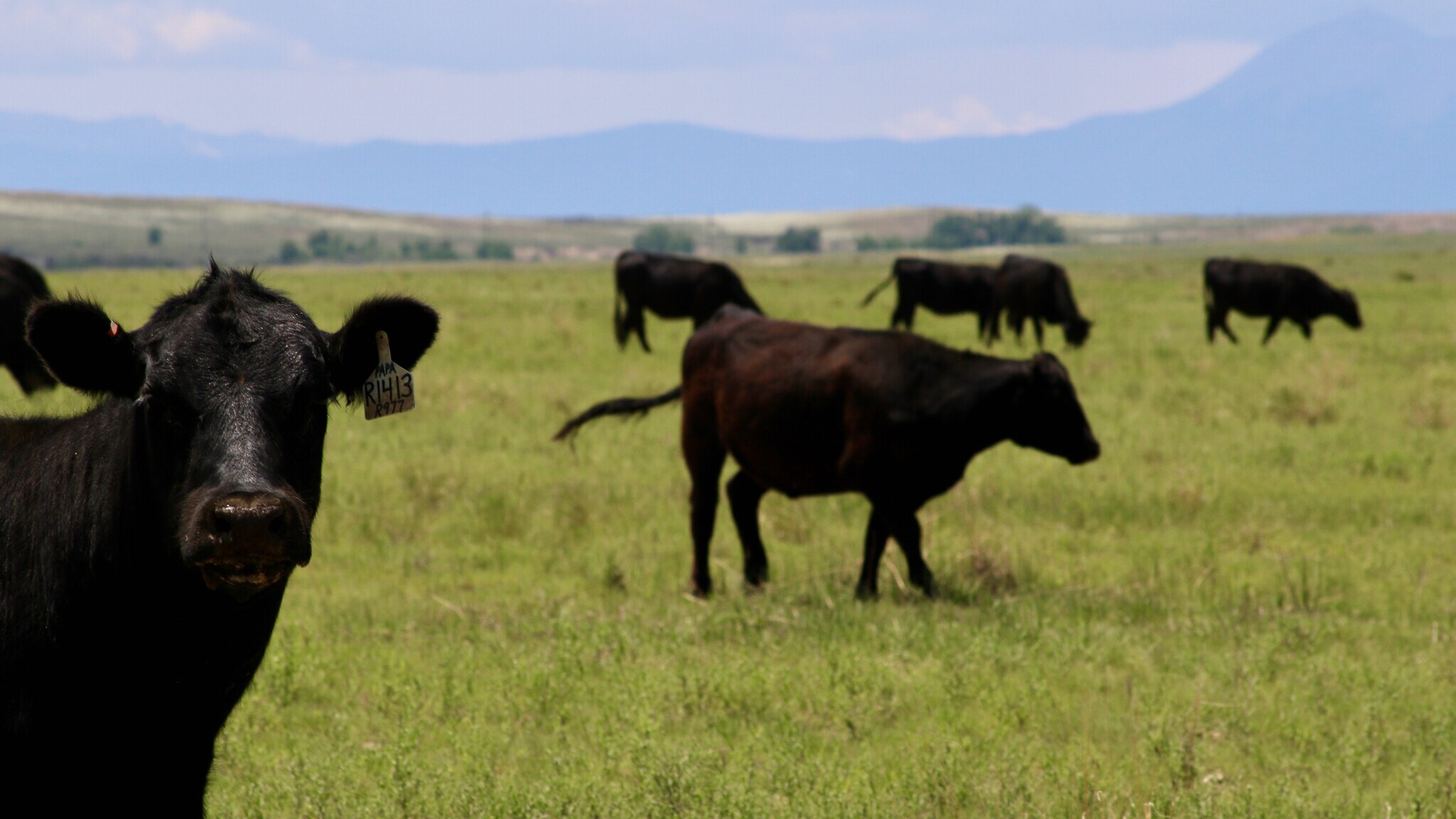 48999 County Road 48, Model, CO for sale Primary Photo- Image 1 of 87
