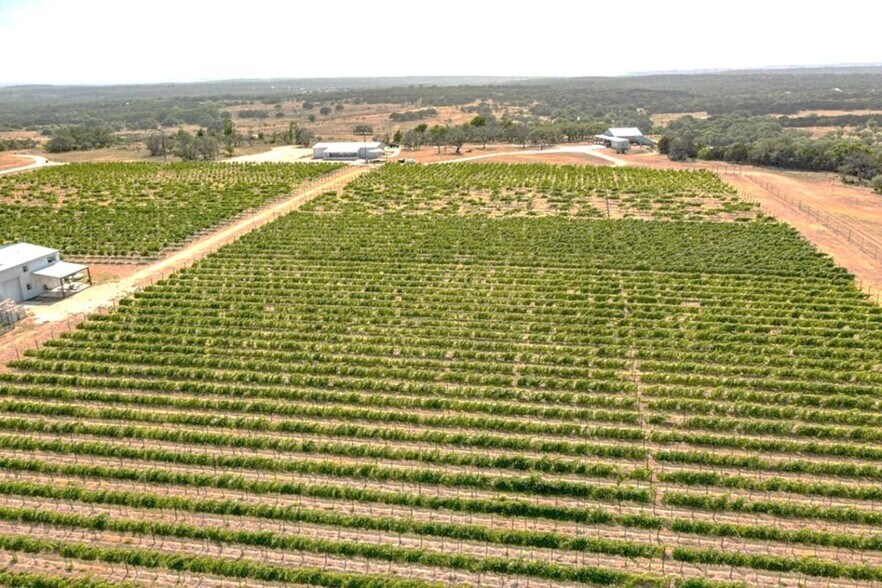 274 County Road 1403, Lometa, TX à vendre - Photo du bâtiment - Image 3 de 6