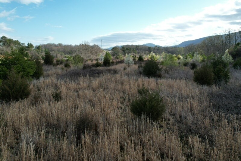 7326 U.S. 411, Benton, TN à vendre - Aérien - Image 2 de 15