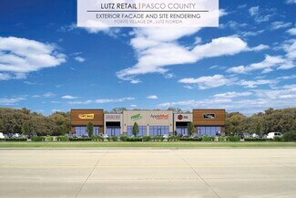 Plus de détails pour 16611 Pointe Village Dr, Lutz, FL - Commerce de détail à louer