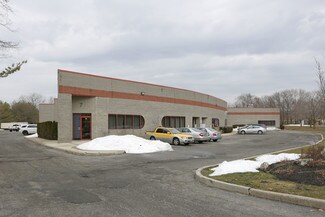 Plus de détails pour 13-15 Technology Dr, East Setauket, NY - Bureau, Industriel à louer