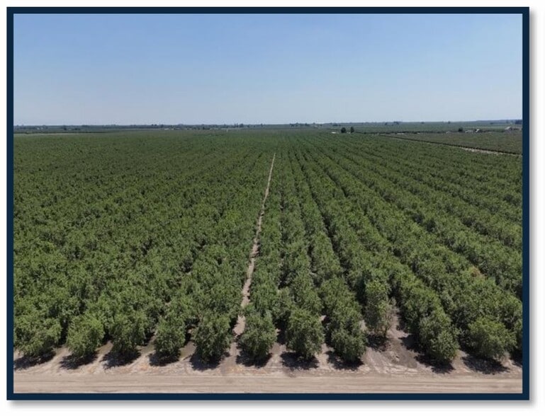 Avenue 192, Strathmore, CA for sale - Other - Image 3 of 25