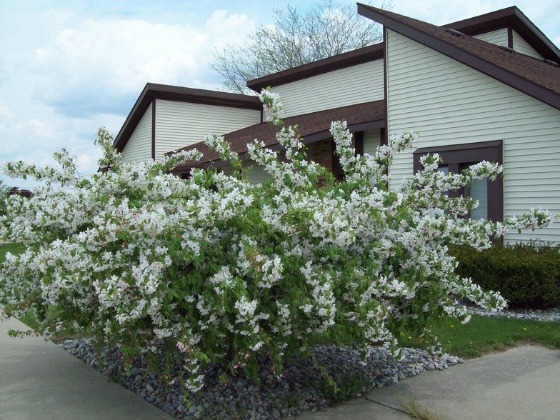 1150 N Ottokee St, Wauseon, OH à louer - Photo du bâtiment - Image 1 de 15